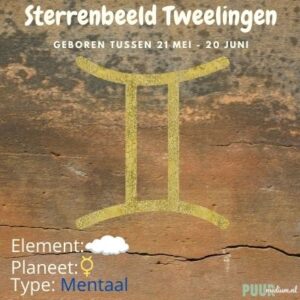 Sterrenbeeld Tweelingen